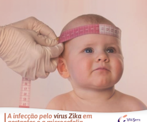 Facebook - HVS - Zika Vírus e Microcefalia